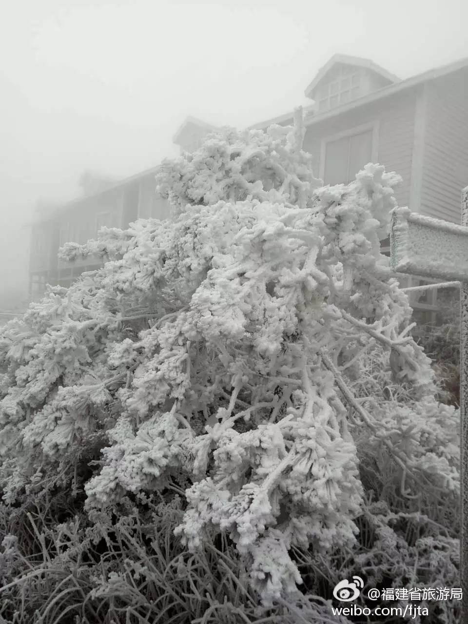 武夷山分水关 @大武夷红袍娃 拍到 武夷山分水关下雪了!