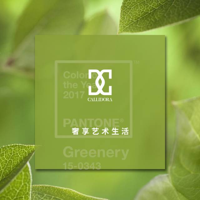 callidora卡莉朵拉丨2017年度代表色—充满生机与活力