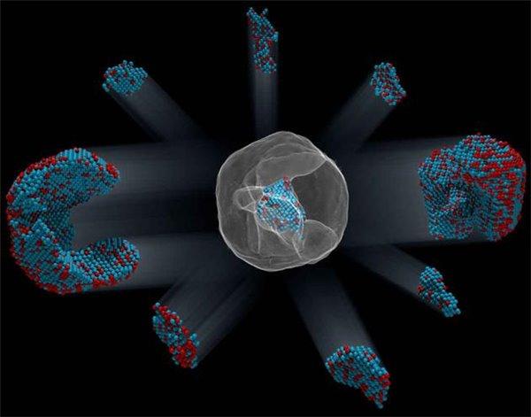 纳米粒子中23000个原子精确位置已被科学家观测
