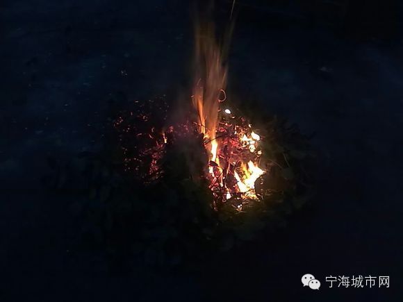 前童行会一市吃馏长街舞龙宁海人十四夜就该这么过