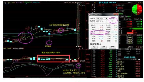 大康集团董事长简介(2)