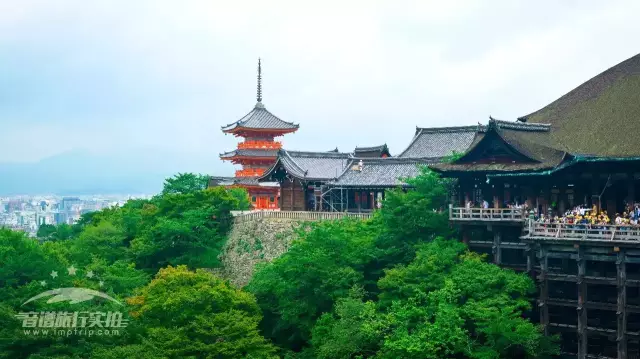 来了！海底观光器下水，处女星驻沪启深度日本游！