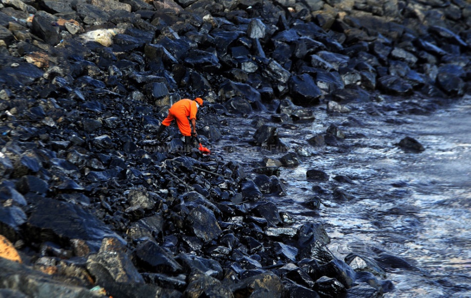 石油外泄污染海岸线印度海龟遭遇悲惨世界