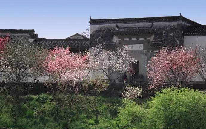 每年3月,歙县都会举办热闹的桃花节.桃花坝位于雄村竹山书院的门前.