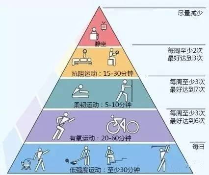 "运动金字塔",最有用的运动法!