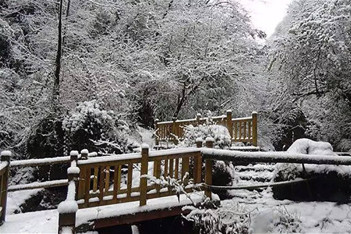 从昨晚起,四川都江堰青城后山,崇州鸡冠山等多地开始下雪!