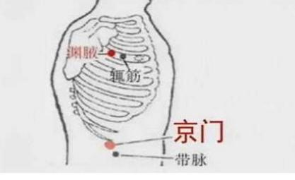 背部穴位有:京门穴,位于第十二肋骨顶端;志室穴,位于第二腰椎突起