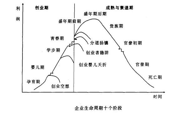 时代机遇下企业生存更加需要深研生命周期规律,掌握根