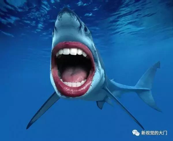 有趣的鲨鱼与人类的牙齿