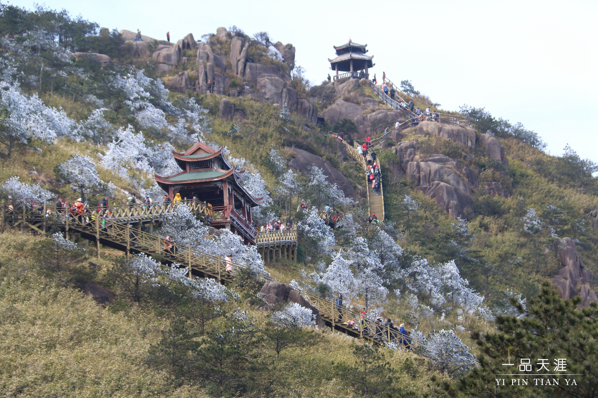 【九仙山旅游小贴士 地址:泉州市德化赤水镇 门票:20元 海拔:1658