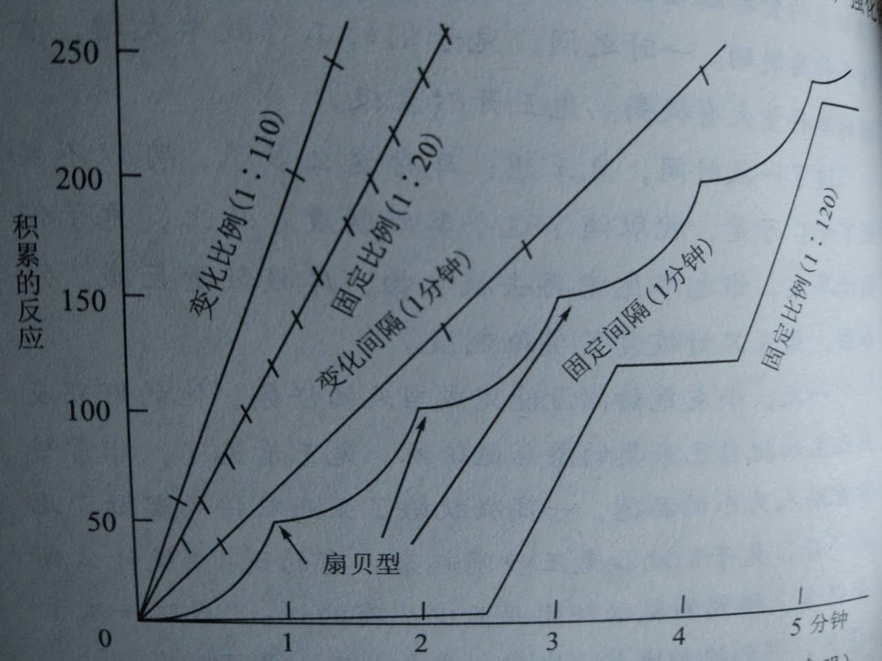 巫术遵循什么原理_等什么君