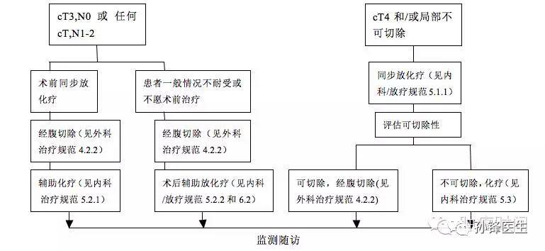 医学干货大肠癌的最新诊疗流程图