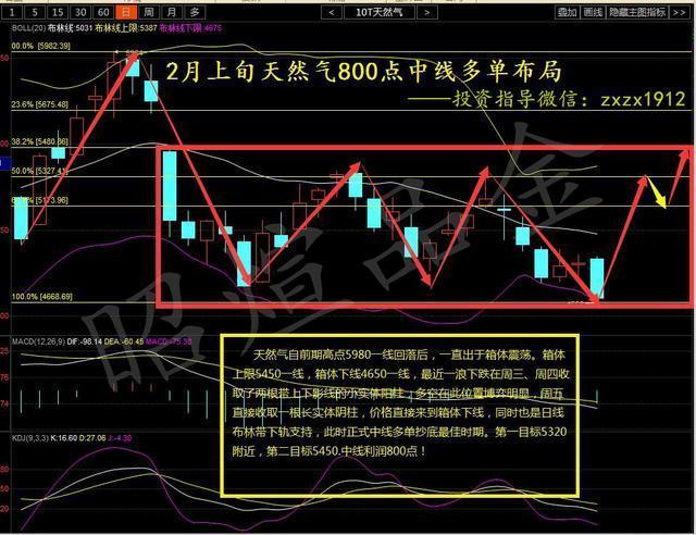 香港人口特点_香港人口(2)