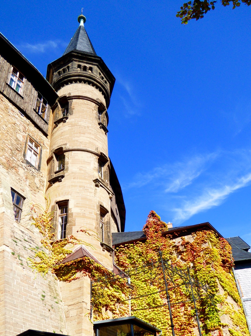 【德国·哈茨3】女巫餐厅吃大餐，城堡山上看风景