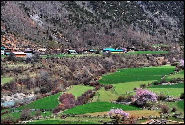 林芝察隅村