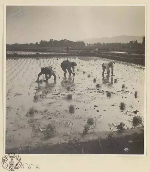 民国农村老照片(一)