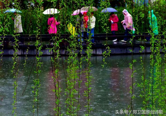 春雨缠绵降人间 相约江南柳如烟 不见雨中美少年 只见佳人撑雨伞