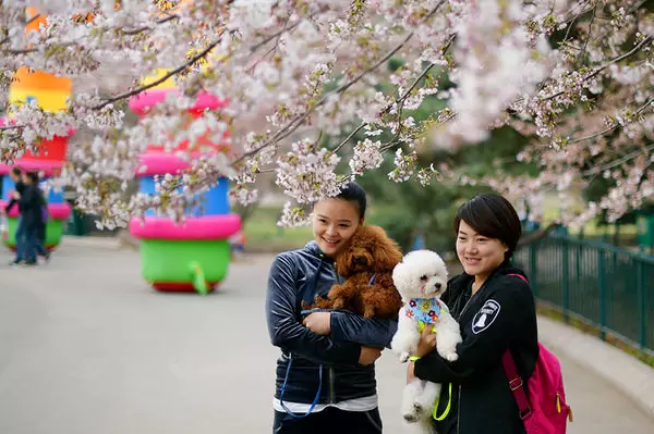 山东五大美女在青岛，有你喜欢的么？