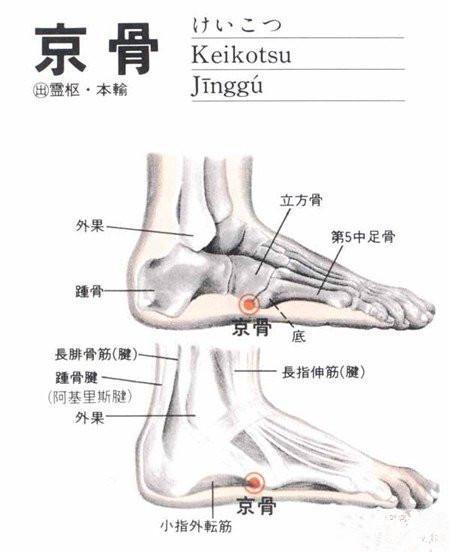 道教经络:高血压日常防治的特殊穴位"京骨穴"