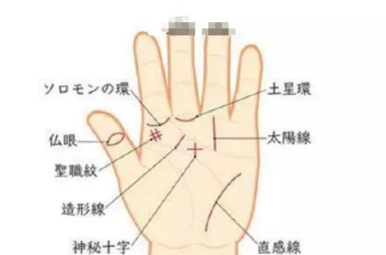 免费学手相：左手拇指上有佛眼纹的人，不简单！