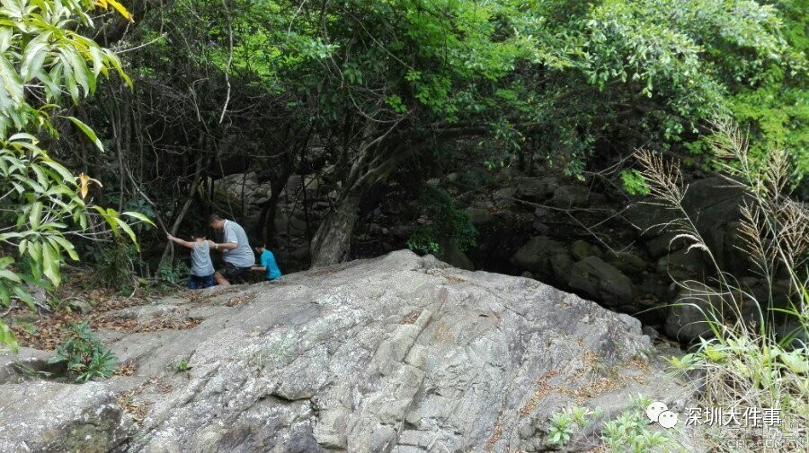 11小时大救援梧桐山坠崖游客仍昏迷远离山中这几处索命之地