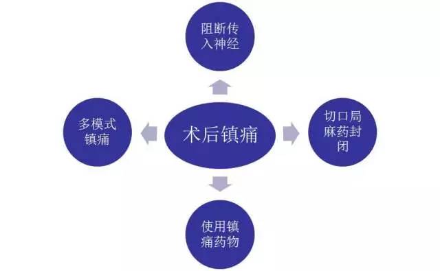 细致的护理 营养支持 多模式镇痛等也在eras的过程中发挥重要作用.