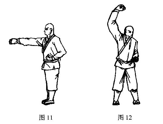 武术基本功,基本手型,拳,掌,勾做法及用法