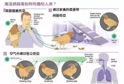 乐山市人口数量_领证通知丨河南安阳 山东多地市 辽宁多地市 四川乐山及泸州(3)