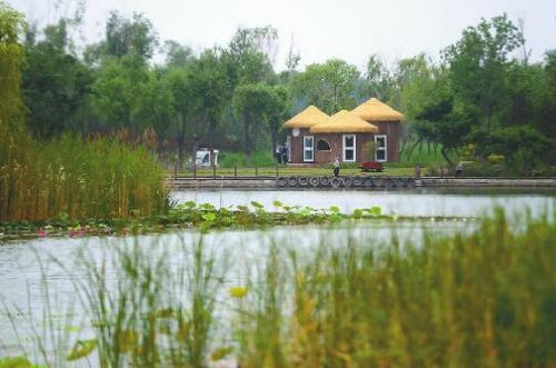 济西国家湿地公园6月"开门纳客" 试运营期间免费