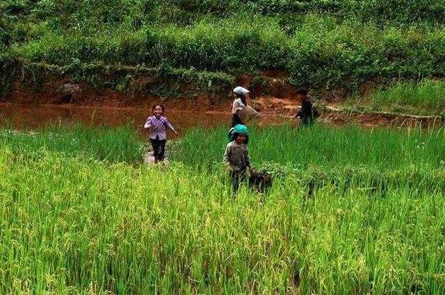 越南农村真实生活现状,男女共浴习俗令人无法