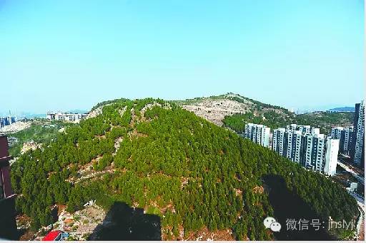 市中两区交界处,丁字山东路以西,兴济河南,西十里河东街北,琵琶山东南