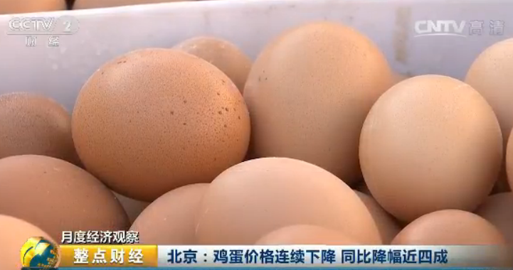 鸡蛋价格同比降幅近四成跌至八年来最低