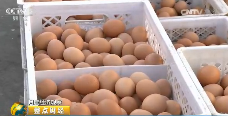 鸡蛋价格同比降幅近四成跌至八年来最低