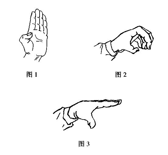 武术基本功,基本手型,拳,掌,勾做法及用法