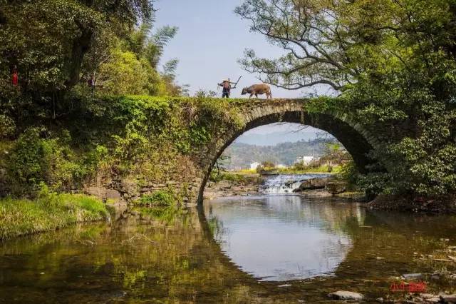 住宿:当地县城 用餐早-含,中-含,晚-含 秋口—龙山豸峰—坑头—家朋