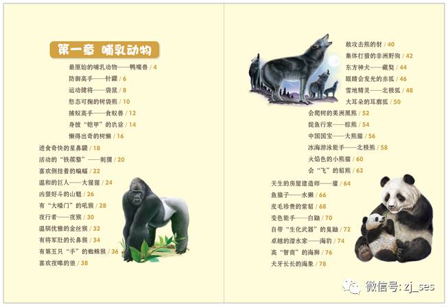 国内首套超写实手绘动物百科,互动式阅读、超
