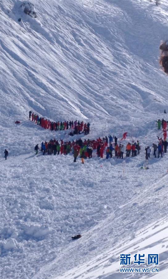 人口雪崩_出生人口雪崩 这件事有多严重 芥末堆(3)