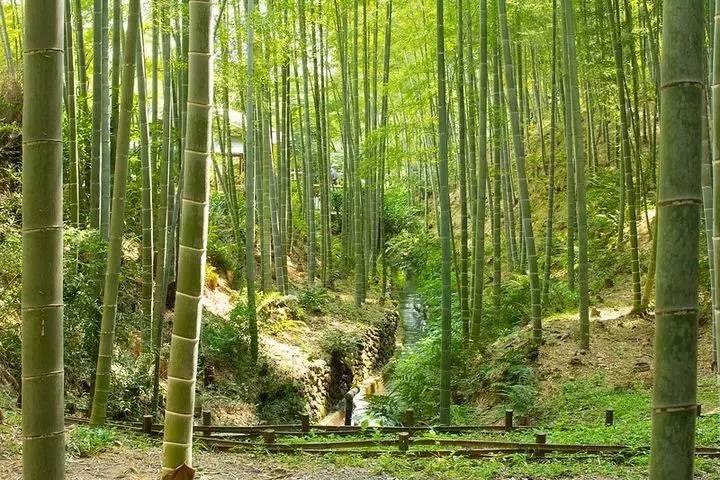 来吧,你所不知道的京都!总有一种默默无闻的美等你发现~|日本·旅行