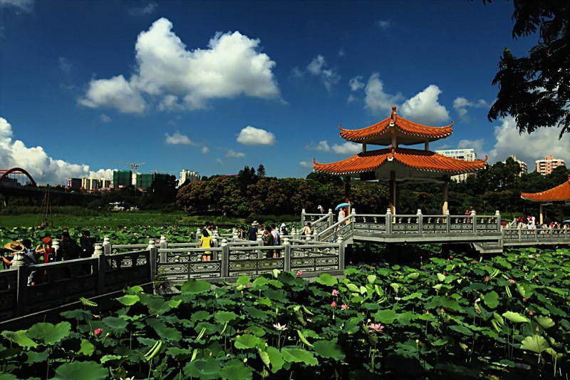 洪湖市有多少人口_洪湖市有特警图片