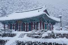 大雪纷飞的雪景中,寺院沁弥宁静,别有一番景致.