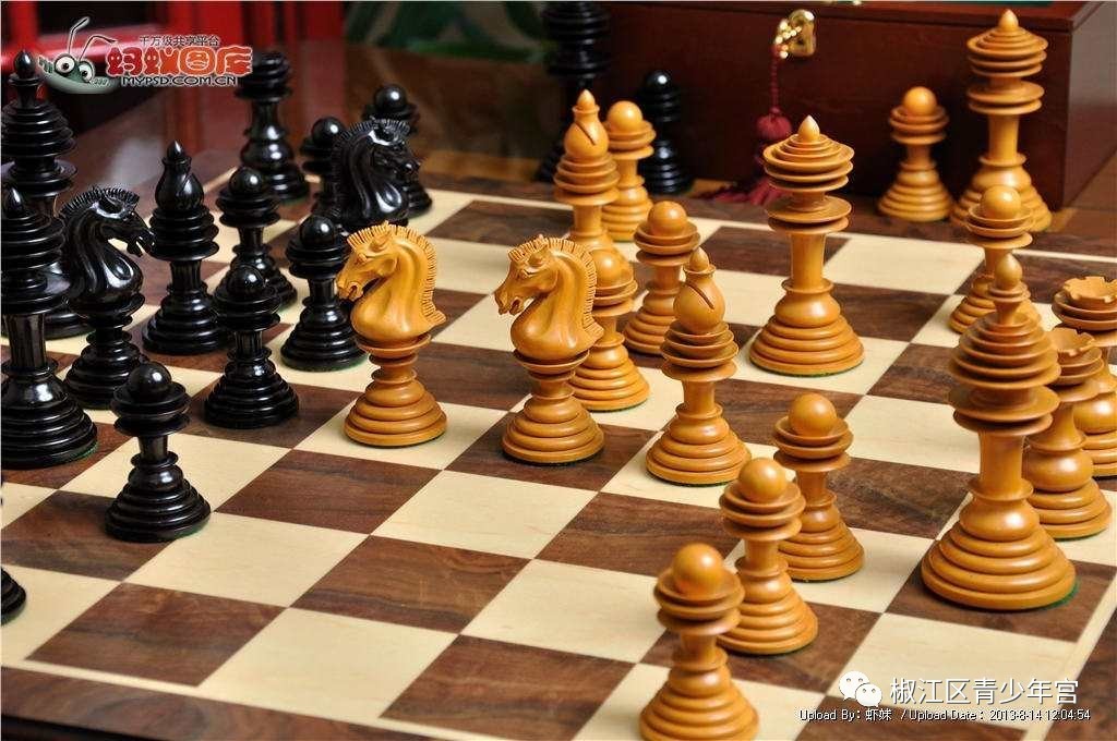 国际象棋和中国象棋开试听课啦,赶紧报名吧!