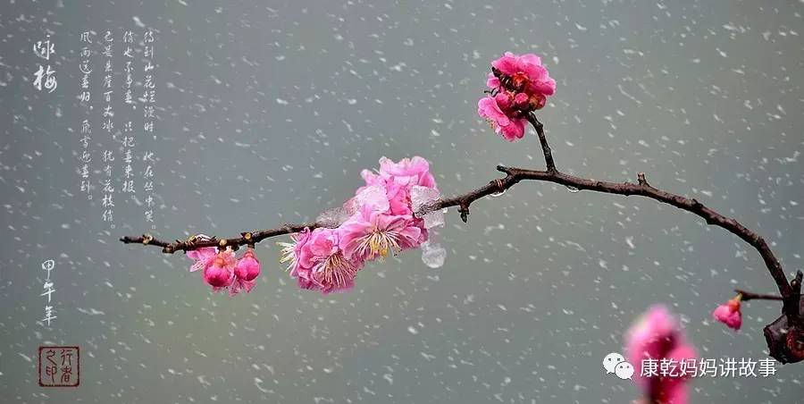 05】《卜算子.咏梅》风雨送春归,飞雪迎春