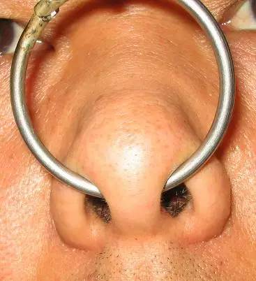 鼻环——一个仿佛只有印度女人才能正确打开的物什