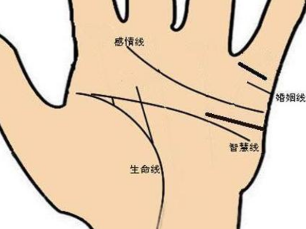 五斗风水:面相手相识得富贵命