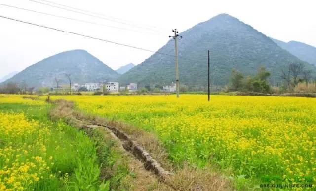 湖南新田县田心村人口_湖南新田县一中校花