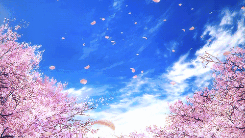 日本最美的春天来了,大家可以去赏樱花啦!