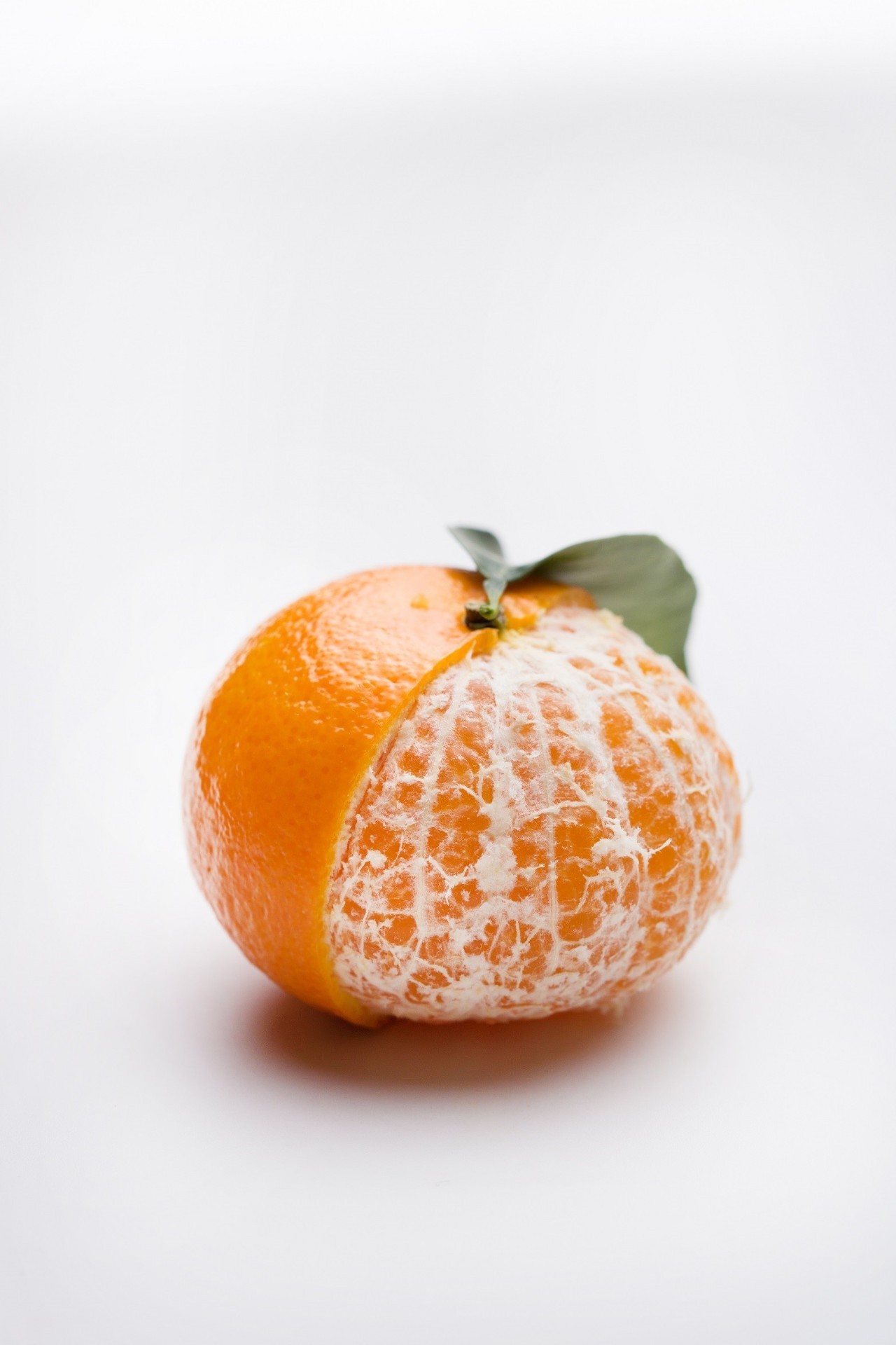 以色列柑橘国家品牌Jaffa 预计Orri橘子对华出口