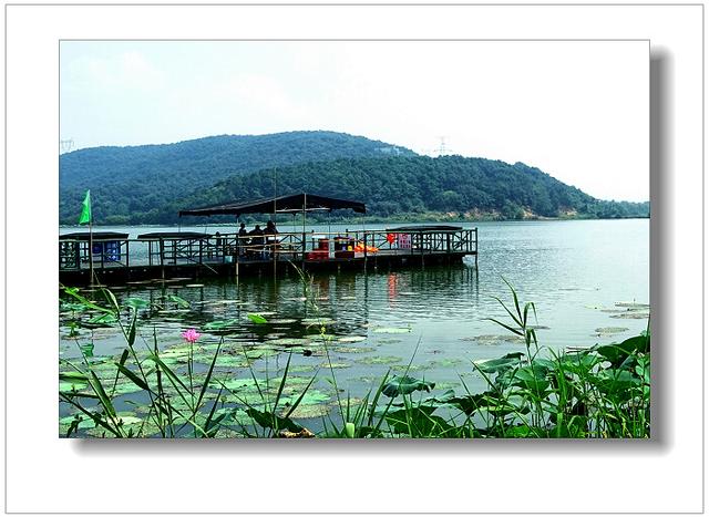 旅游 正文 金龙水寨生态乐园位于武汉市蔡甸区索河镇的索子长河水域
