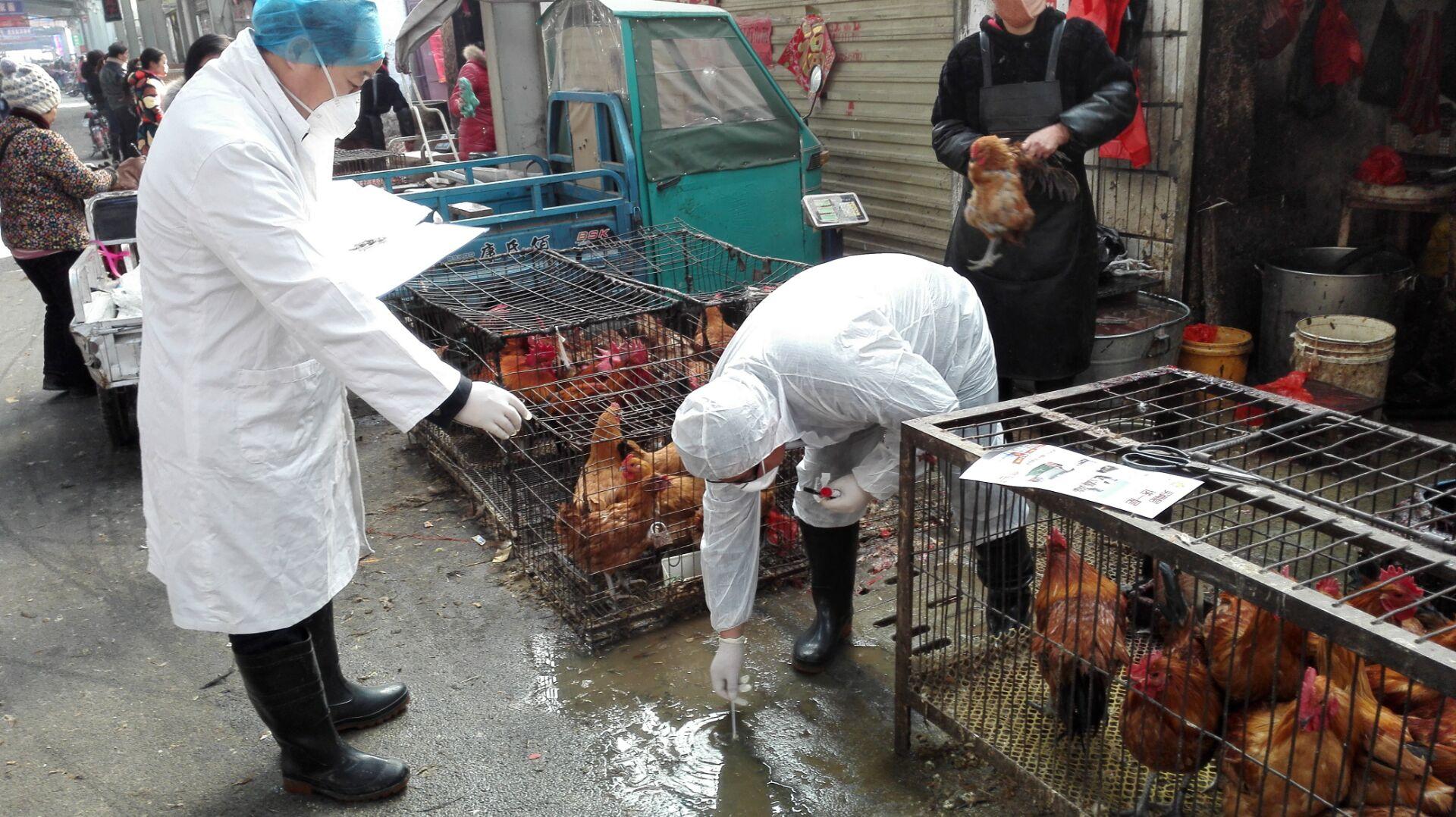 濉溪县疾控中心开展人感染h7n9禽流感外环境监测