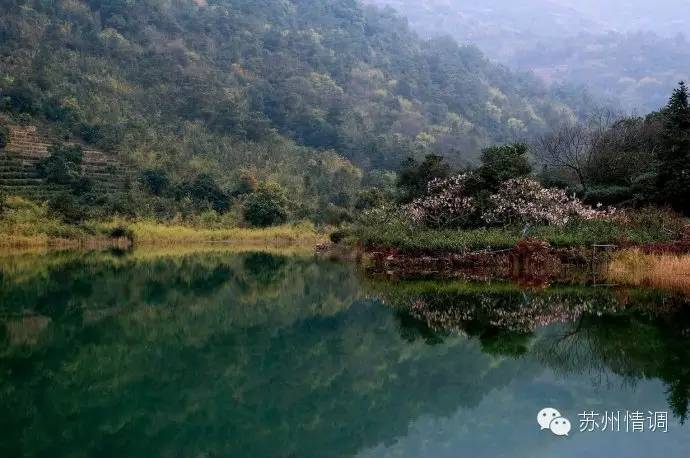 念念不忘,必有回响,好比说苏州这些小山小水 .